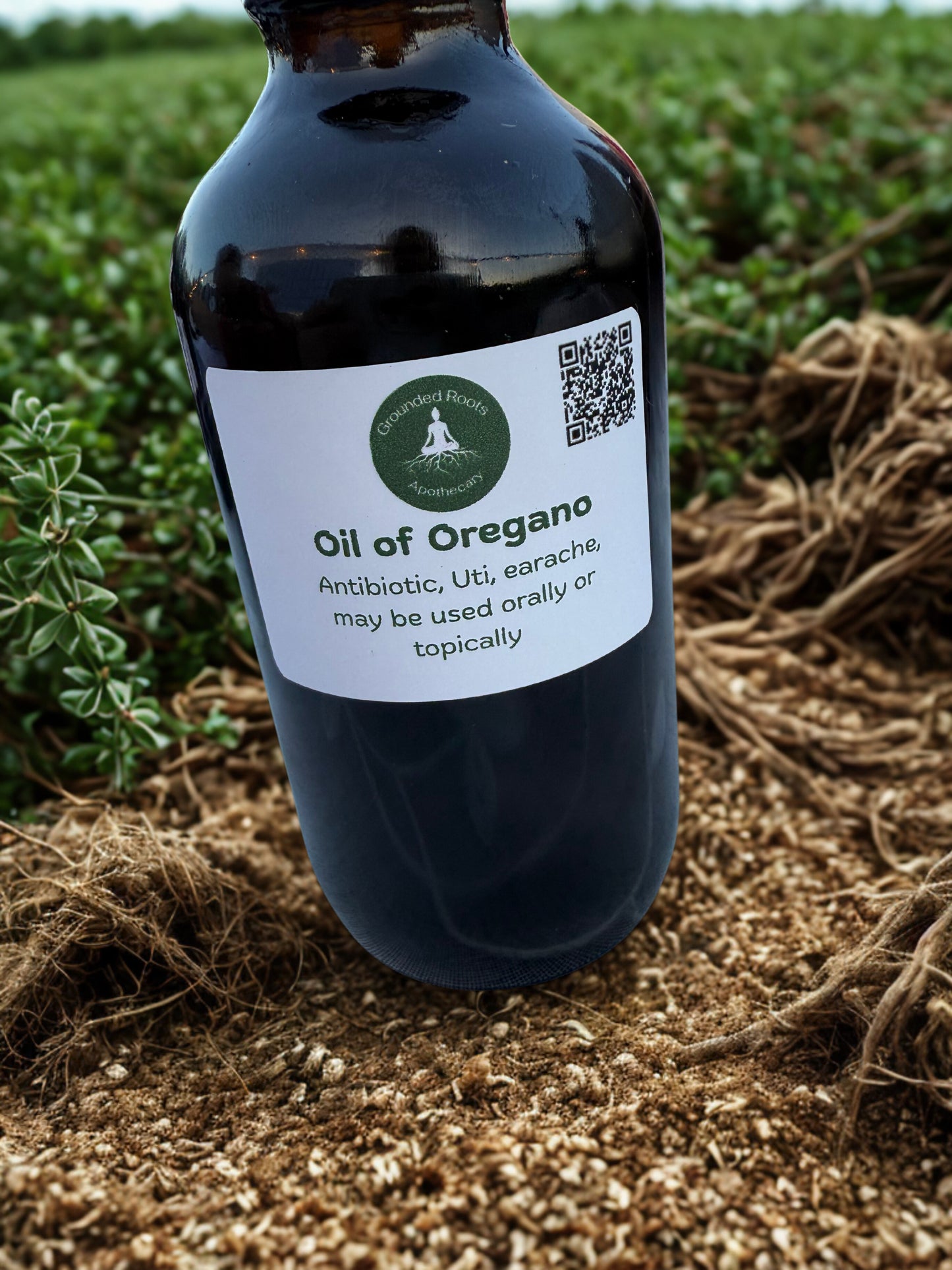 Oil of Oregano